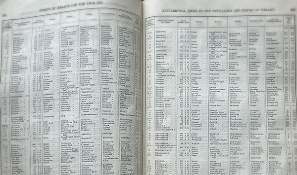 Irish census 1878